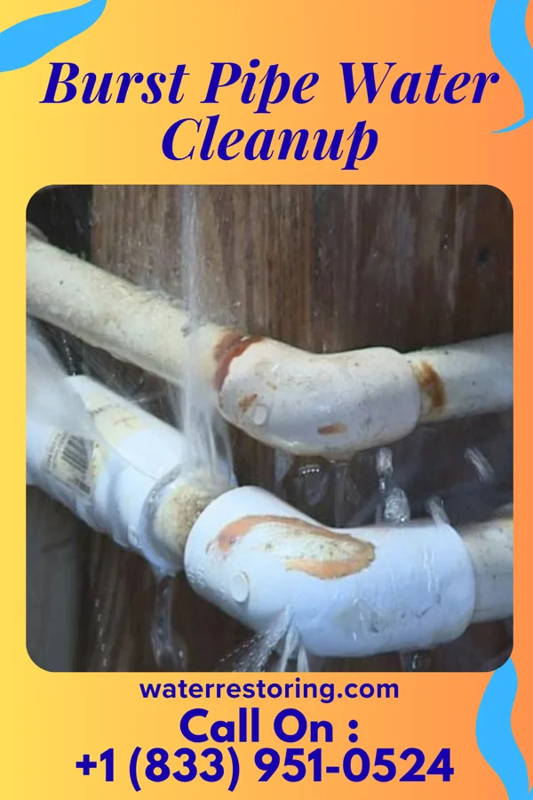 Burst Pipe Water Cleanup in Loretto, TN