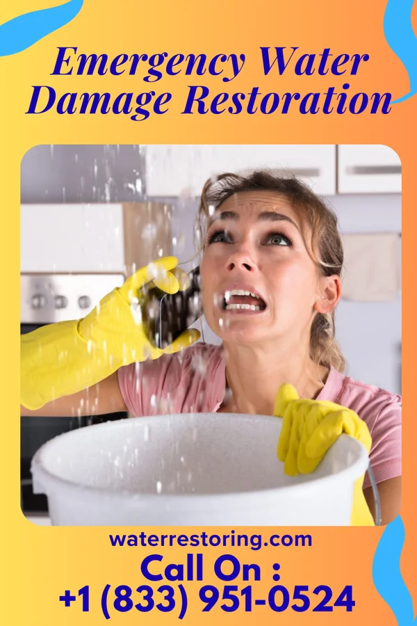 Emergency Water Damage Restoration in Loretto, TN