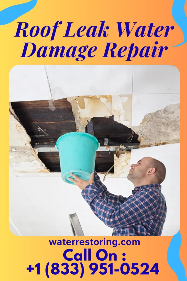 Roof Leak Water Damage Repair in Loretto, TN