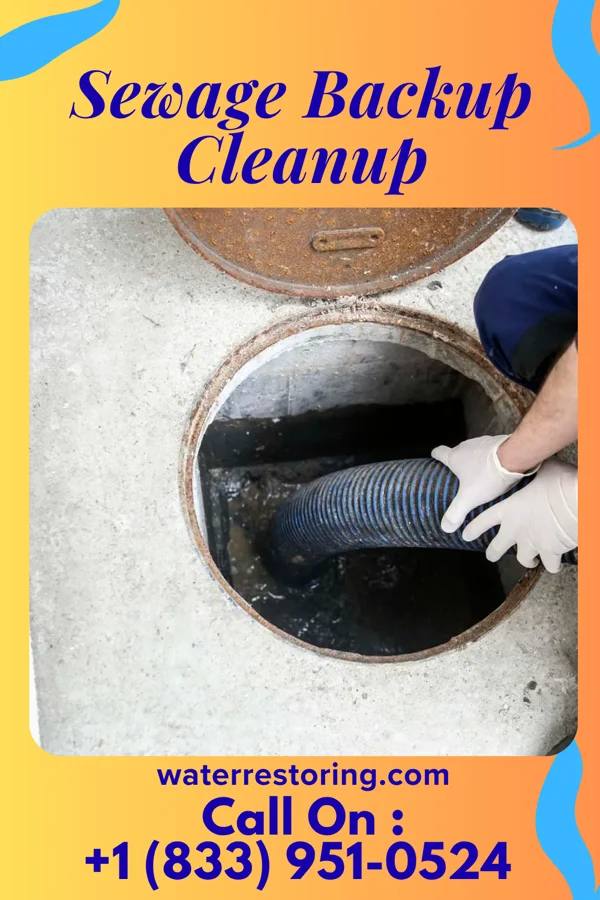 Sewage Backup Cleanup in Loretto, TN
