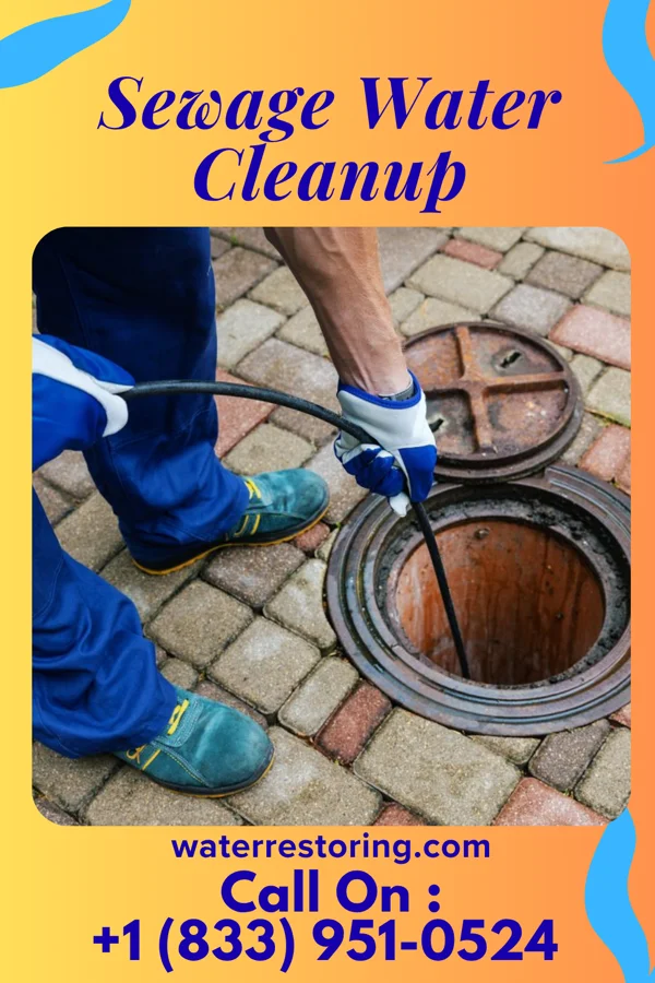 Sewage Water Cleanup in Loretto, TN